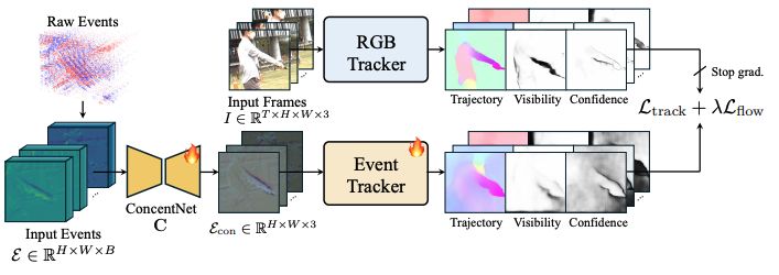 TETO: Tracking Events with Teacher Observation for Motion Estimation and Frame Interpolation